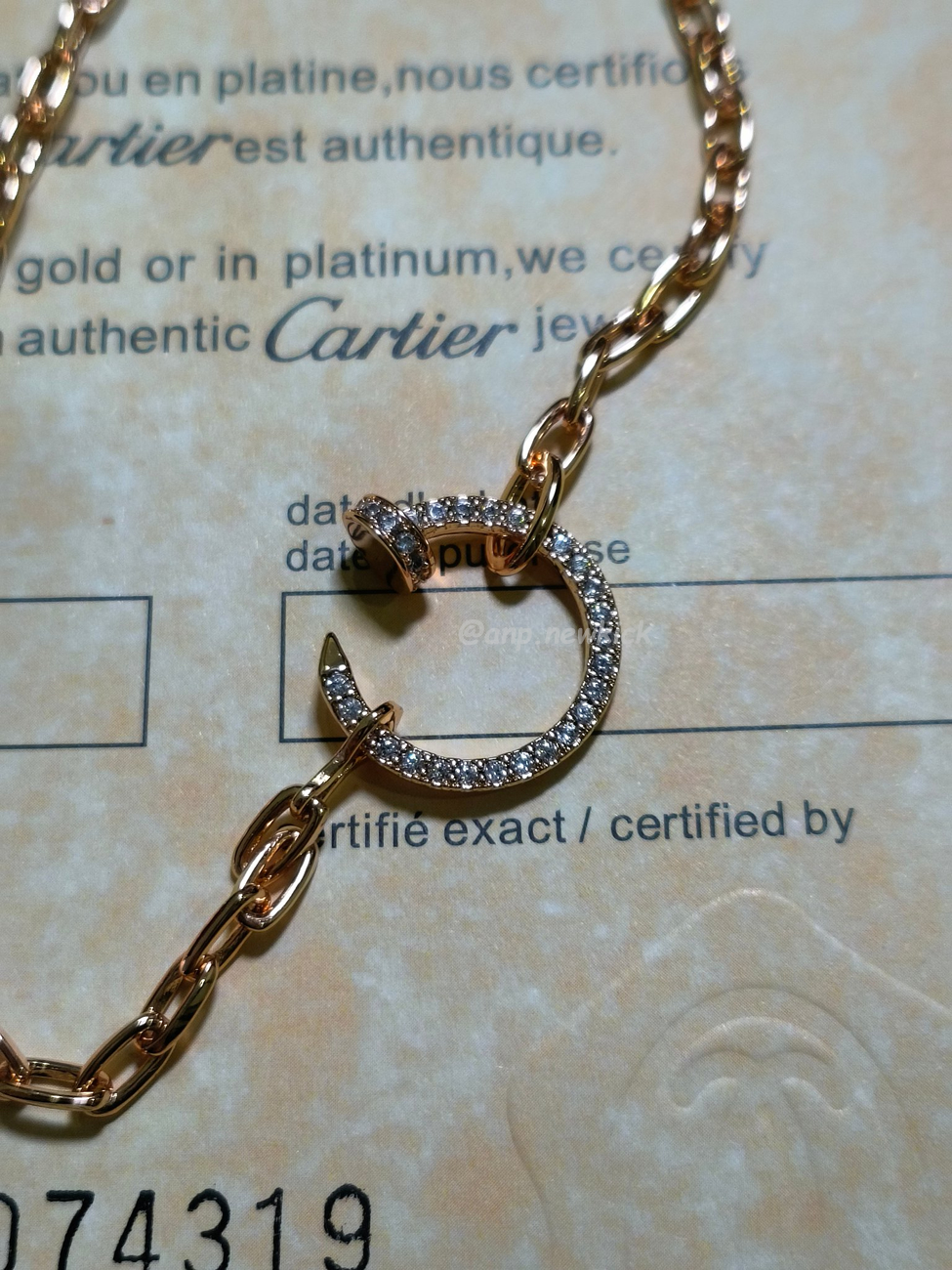 Cartier Necklace (6) - www.newkick.org